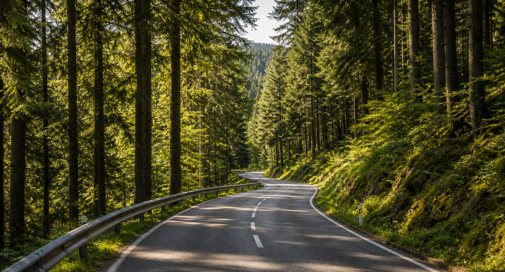 Kurvige Waldstrasse im Schwarzwald